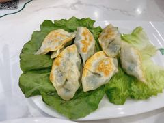 煎饺-袁记云饺(南门口店)