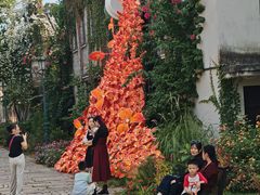 -赤坎古镇影视城