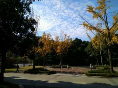 -苏州河梦清园环保主题公园