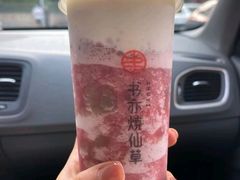 芝士多肉葡萄-书亦烧仙草(安阳城店)