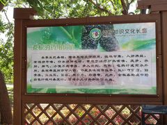 -御林古桑园