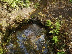 -峡谷浮石林景区