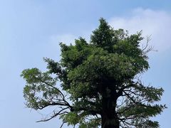 -粤晖园