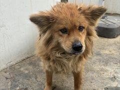 -潇湘·永州会馆(百子湾店)