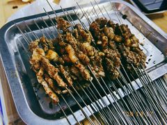 -清真·马峰烤肉(小学习北巷店)