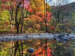 -龙道沟景区