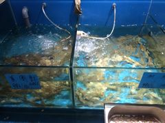 -彩虹坊火锅(宁穿路店)