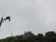 -梧桐山风景名胜区