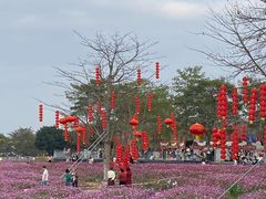 -海珠湖公园