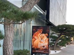 -罗红摄影艺术馆