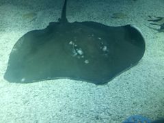 -沈阳海洋探索中心