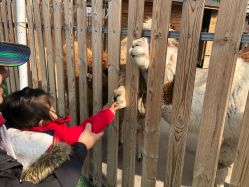 -萌宠亲子动物乐园(槐房万达店)