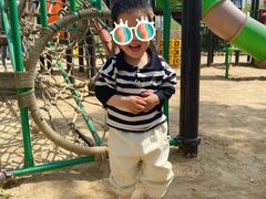 -合肥滨湖国家森林公园