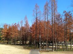-颐景园