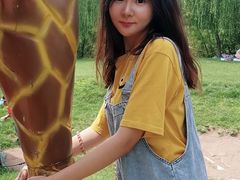 -长白岛森林公园