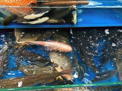 -北京清河镇农副产品交易市场中心