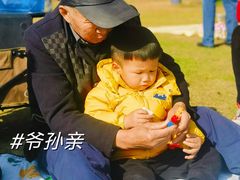 -东湖落雁景区