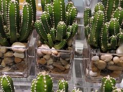 -KKV(深圳宏发大仟里店)