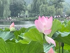 -承德避暑山庄景区