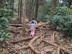 -火炉山森林公园