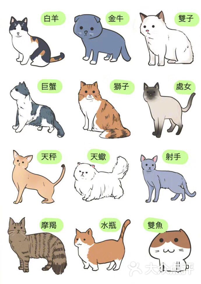 dpuser_42592024034上传的图片