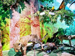 -重庆中国三峡博物馆(重庆博物馆)