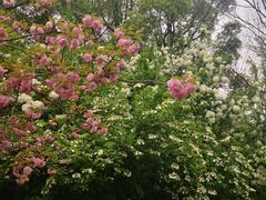 -杭州城北体育公园