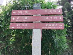 -广州市帽峰山景区