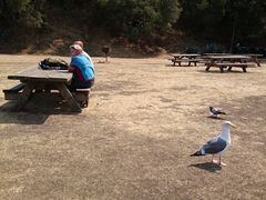 -阿尔卡特拉斯岛