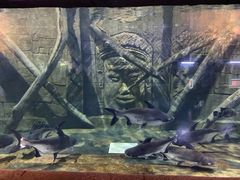 -梦幻海洋王国(吾悦广场张家港店)