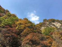-驼梁风景区