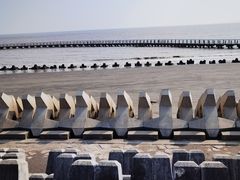 -南汇嘴观海公园