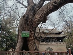 -马老三肉丁胡辣汤(西一路店)