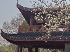 -堤角公园