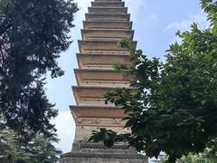 -洛阳白马寺
