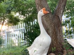 -南京财经大学（仙林校区）-图书馆