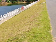 -佛手湖郊野公园