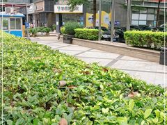 -星巴克(广州天河北龙口店)