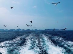 -海驴岛(荣成市)