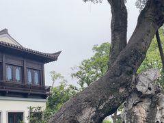 -杭州西湖柳莺里酒店·闻莺厅