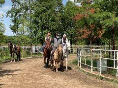 -上海海湾国家森林公园