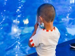 -成都浩海立方海洋公园