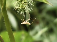 -白石龙音乐公园