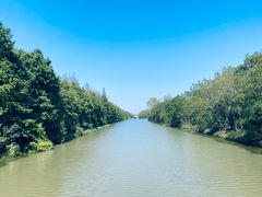 -上海海湾国家森林公园