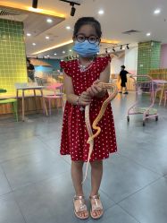 -Moni星球萌宠·小马宝莉·灵蛇·高端高阶全萌宠互动体验俱乐部(红豆国际广场店)