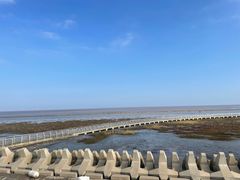 -南汇嘴观海公园