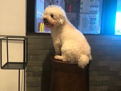 -阿嬷手作(南宁百盛印象城店)