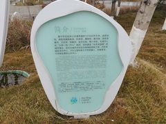 -四川宋瓷博物馆