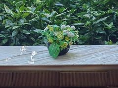-浅深(世茂滨江精品店)