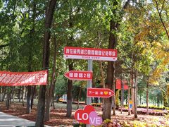 -黛秀湖公园